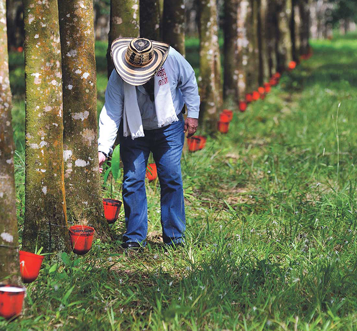 Sorry! Image failed to load