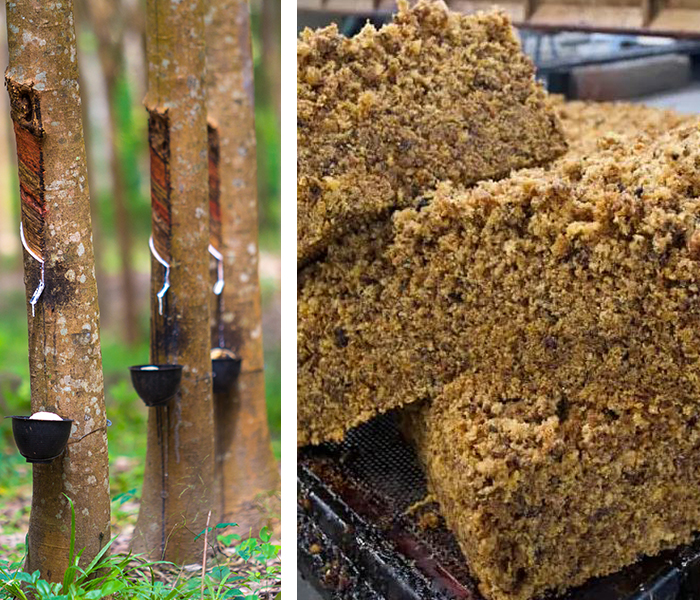 Sorry! Image failed to load